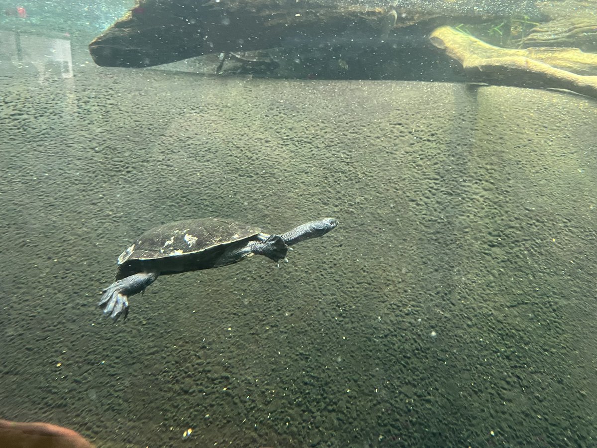 Justin Patterson tweet media