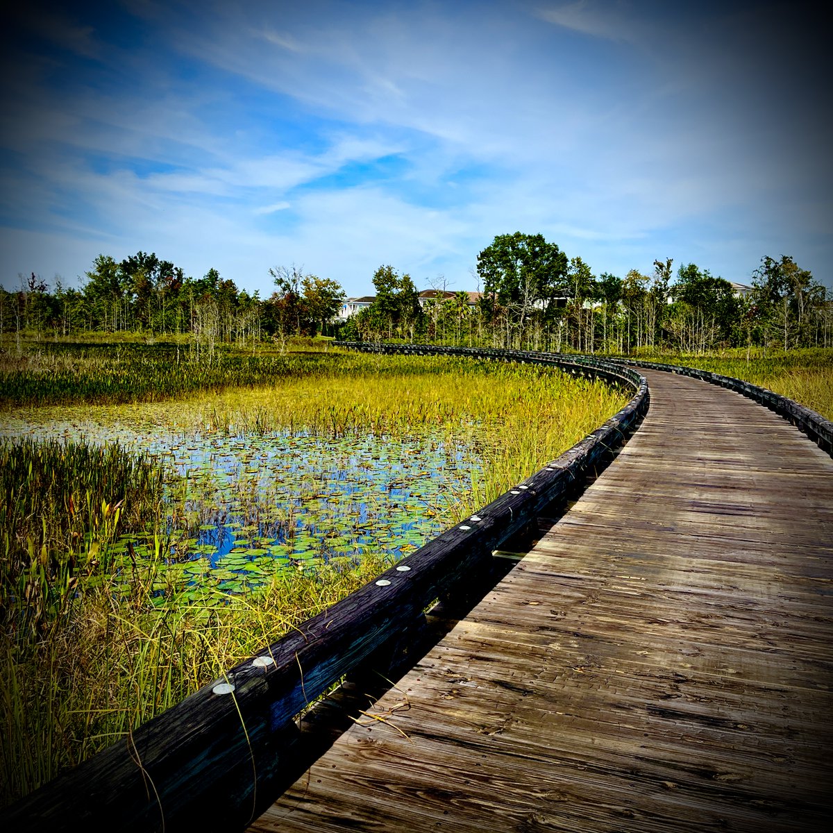 Love this link between 9 and 10... ♥️