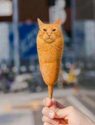 YurieOnYuri's tweet photo. #corncats lets doi t https://t.co/V2Su8Rb2GZ