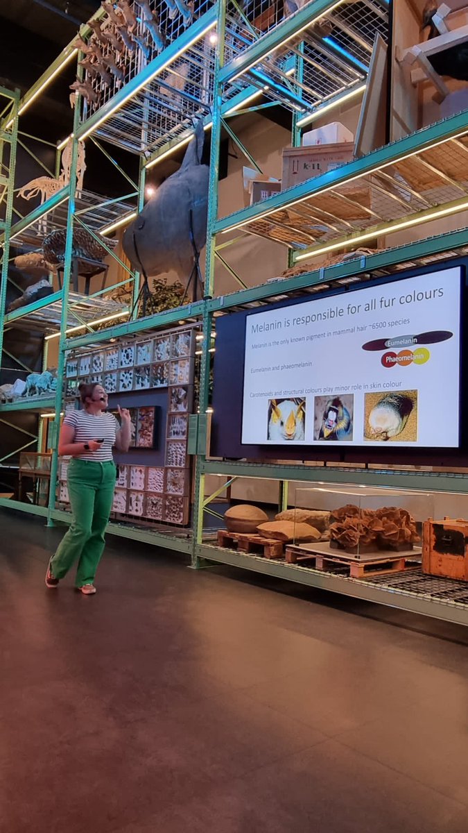 Could not have asked for a cooler venue for the first presentation of my PhD work so far🥳 thanks for having me @Naturalis_Sci 🦧🐿️🦇