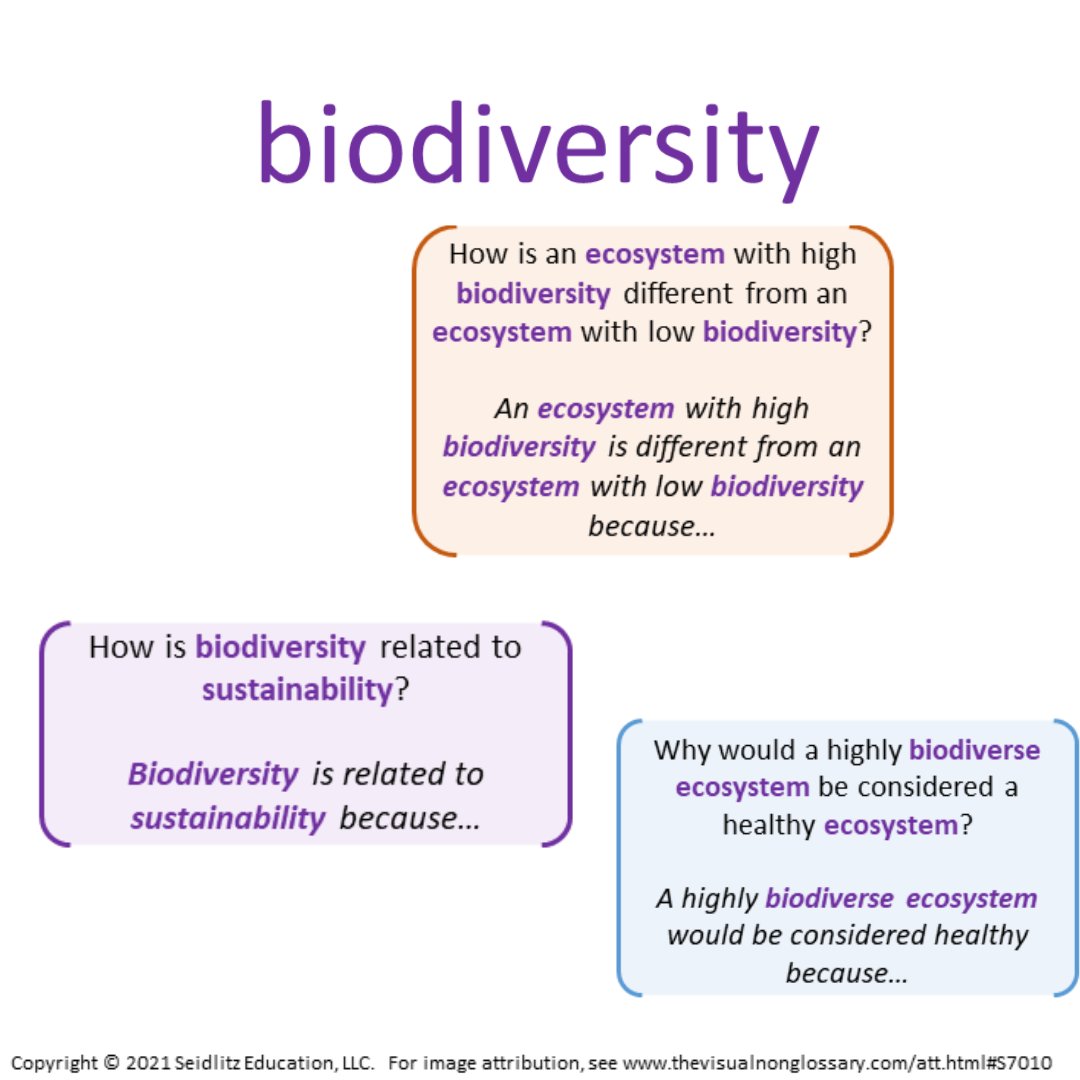 VNGvisuals's tweet photo. Try the #VisualNonGlossary for yourself, with this 7th grade visual & #sentencestems. Did you know you knew so much about biodiversity? https://t.co/bRmmeDB3qf