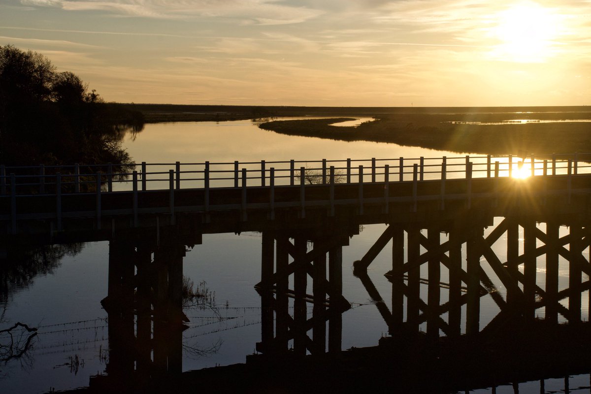 SarahWoods66's tweet image. On my way back from the shops this afternoon I spotted my husband with his camera waiting for the perfect shot of a steam engine going over the cob in front of the setting sun. I stopped to join him but gave up before the train came #Porthmadog