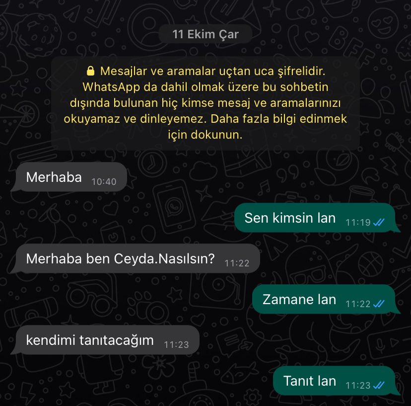 Bizim tahammül seviyesi;