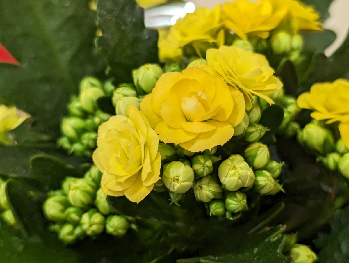 Child Care Facilities in Michigan
cncnewsco.com/how-to-find-mi…
#childcare #family #parenting #michigan <a href="/umichsph/">University of Michigan School of Public Health</a> <a href="/childcareaware/">Child Care Aware of America</a> #PublicHealth #muskegon #detroit #kewanee #lansing