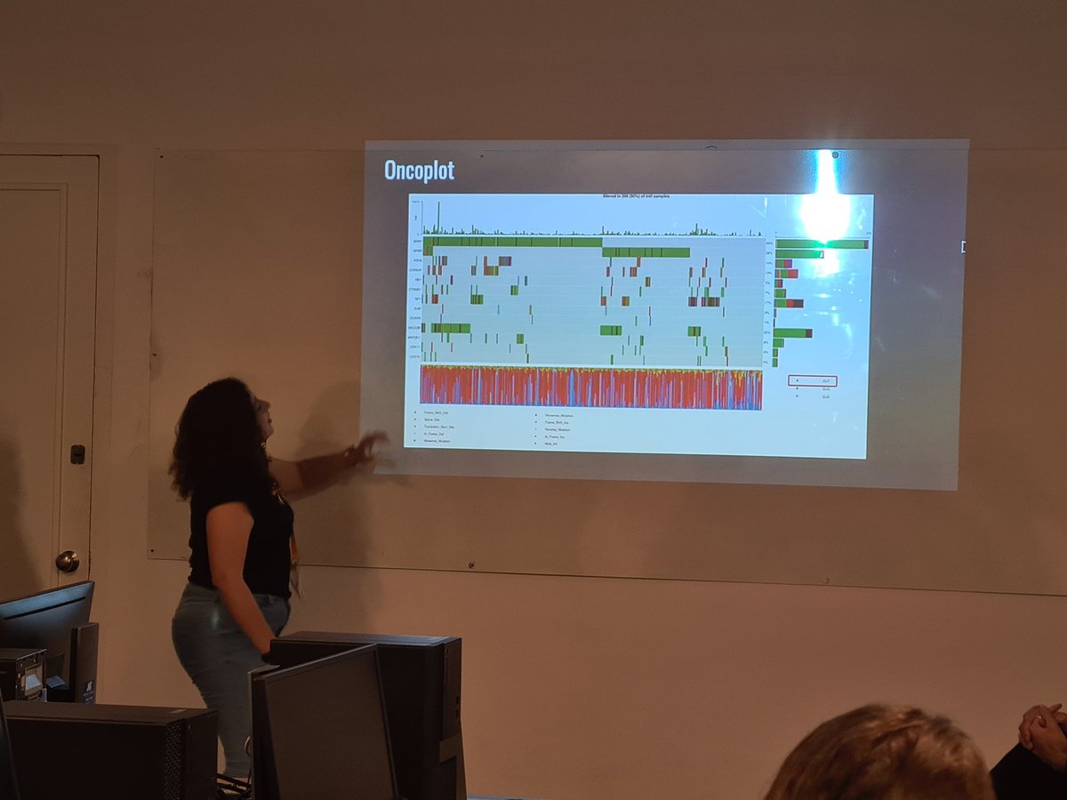 daniela_oaks's tweet photo. We close @eventsWCS #CanGenAnalysis23 with presentations by participants! All teams had to analyse TCGA data from different #cancer types  and present its drivers, oncoplots, mutational signatures and clinical correlations. I think it was a success! 😀😀 https://t.co/l7mMHsiiQ2