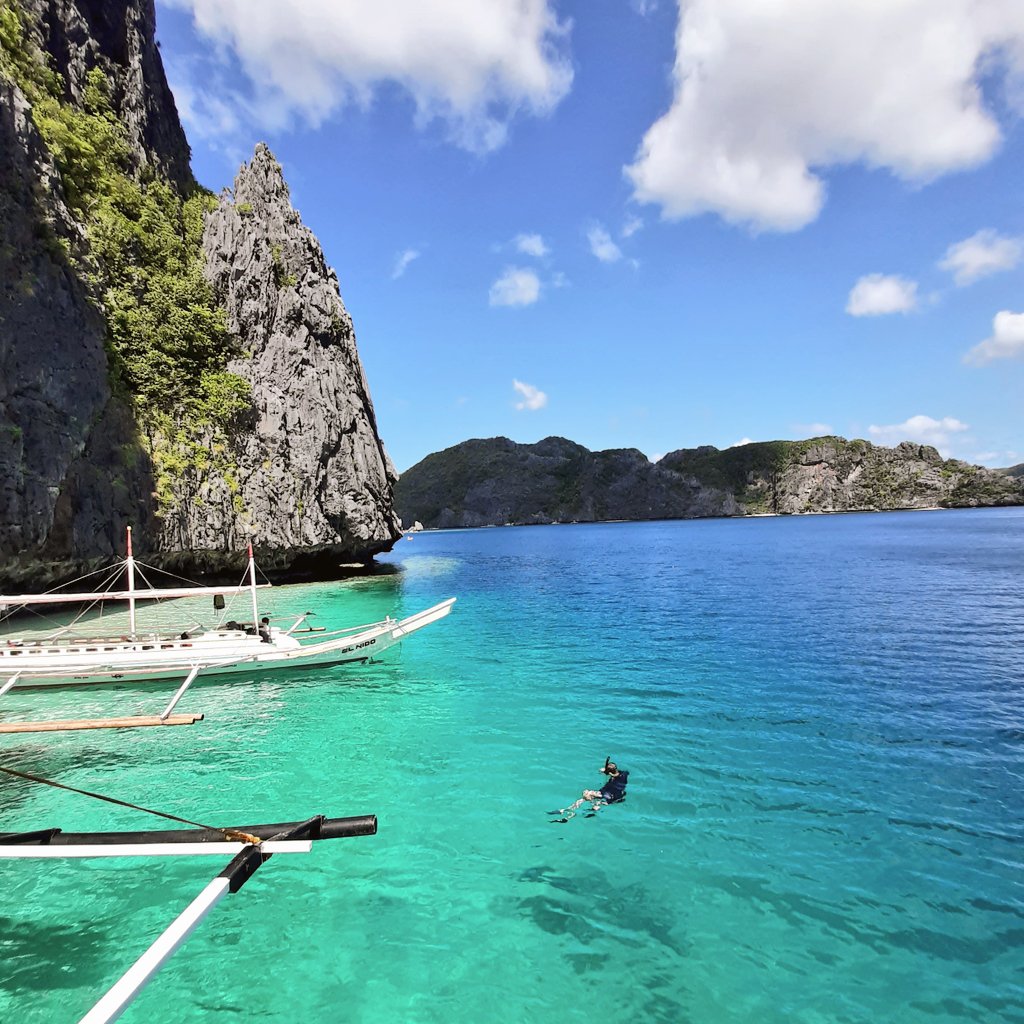 Boogish🐈🚀 tweet media