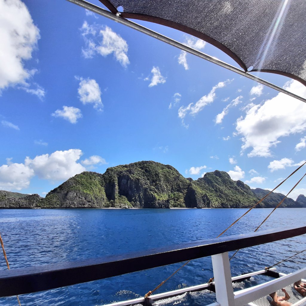 Boogish🐈🚀 tweet media