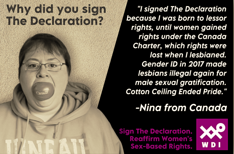 DeclarationOn's tweet photo. We are the largest international organization dedicated to women &amp; girls sex-based rights.

Unapologetically female-focused.
 
Signatories: Why Did You Sign the Declaration?
Get involved. #whyIsigned
https://t.co/M3HWeyztH1 https://t.co/DWhN5QIrlD