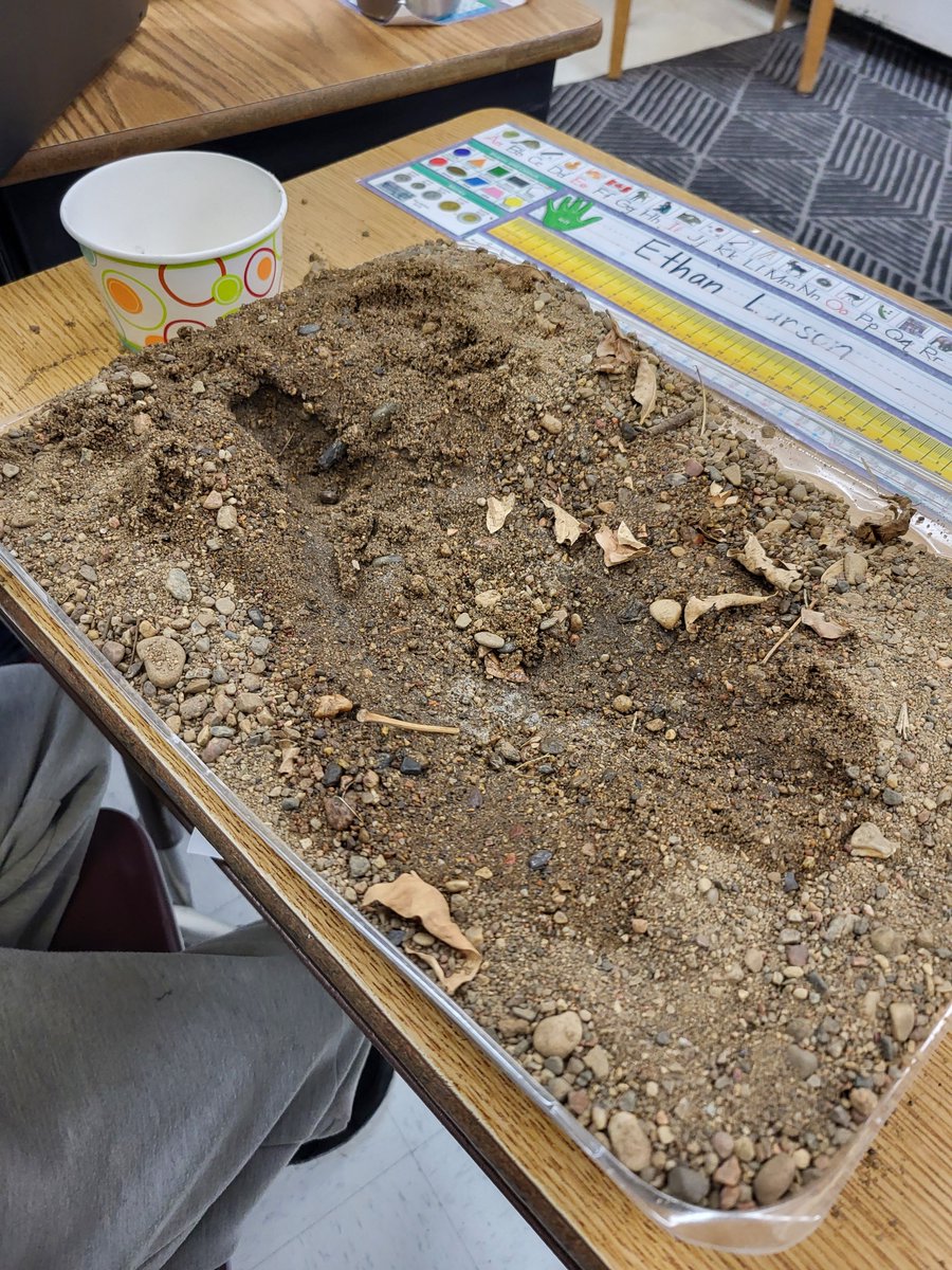 Wainwright Elem tweet media