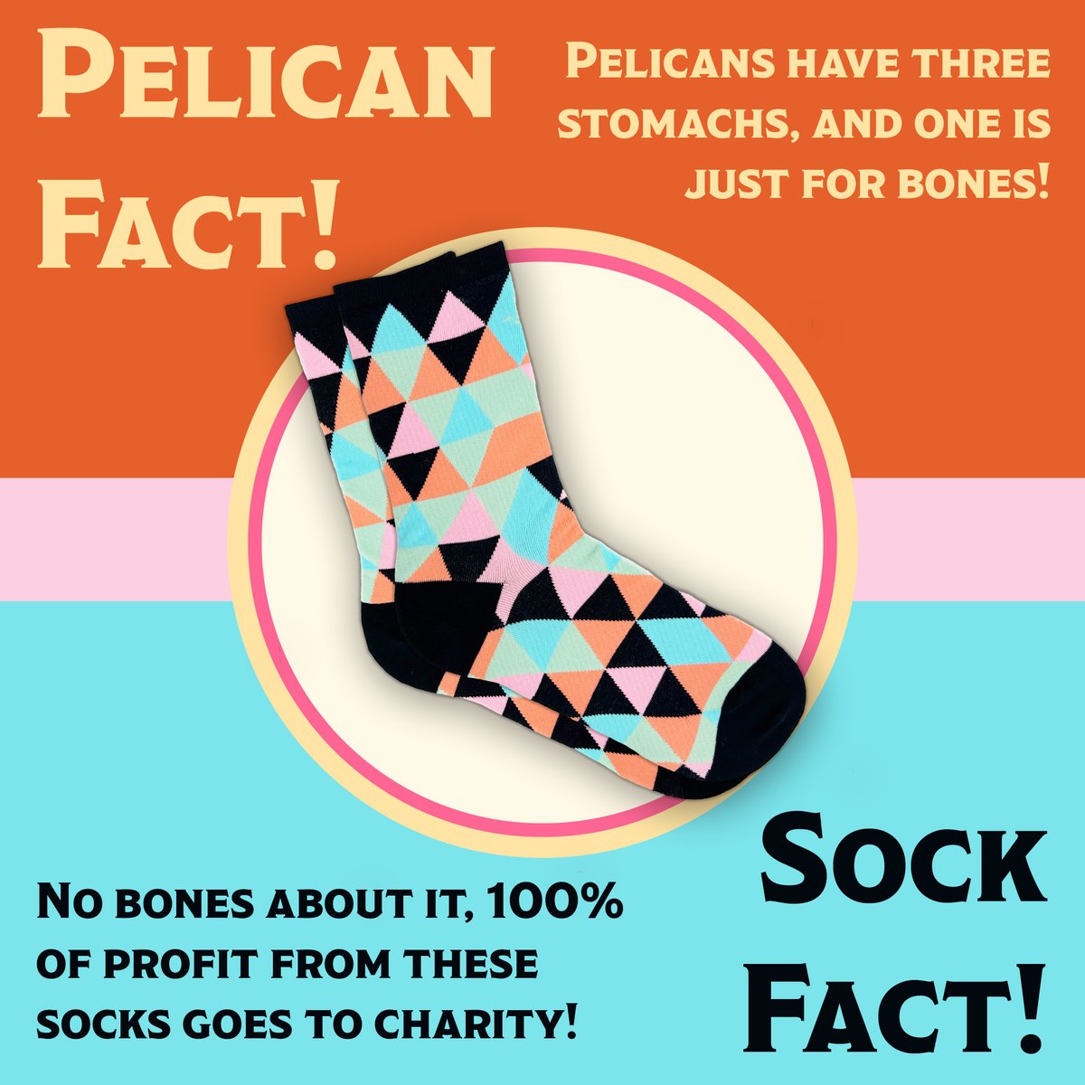 You have 8 days left to order these amazing socks from <a href="/hankgreen/">Hank Green</a> before we pass our holiday shipping deadline! You can buy a morning or evening set with four pairs of socks each or all eight for the sock and pelican fans in your life.

Get them now: ow.ly/MtWG50QexxM