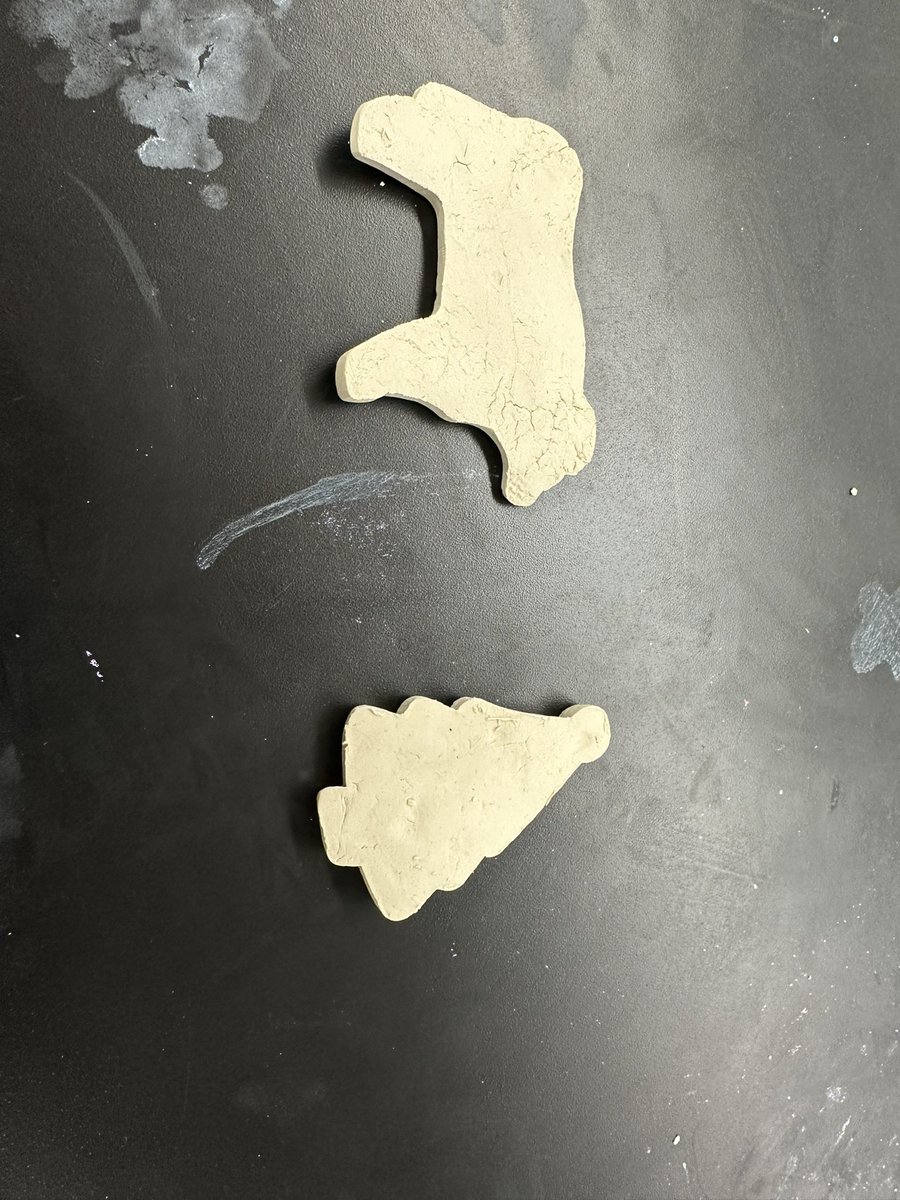 Katie Cerasale-Messina (she/her) tweet media