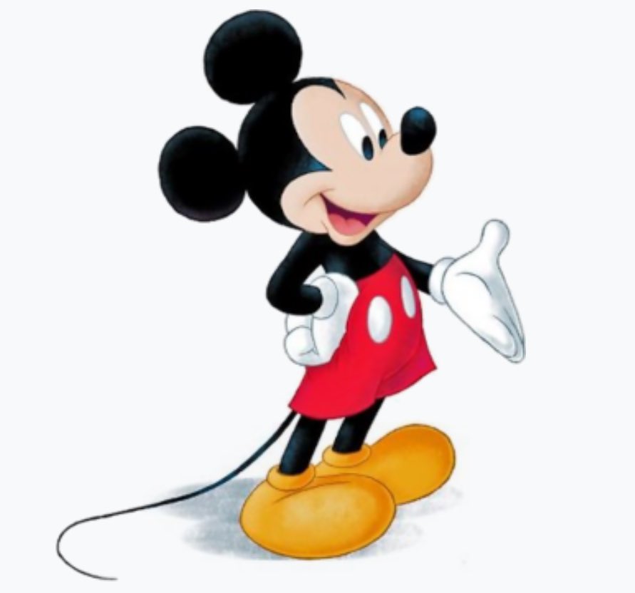 Shelley Jackson 💙 tweet media