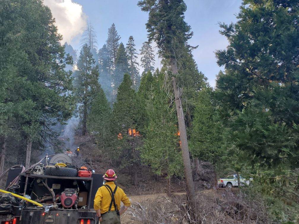 Our crews out of the Bakersfield Field Office continue their #PrescribedFire at Case Mountain Extensive Recreation Area! Well done!🔥⛏️ 📸Ed Fulton, BLM