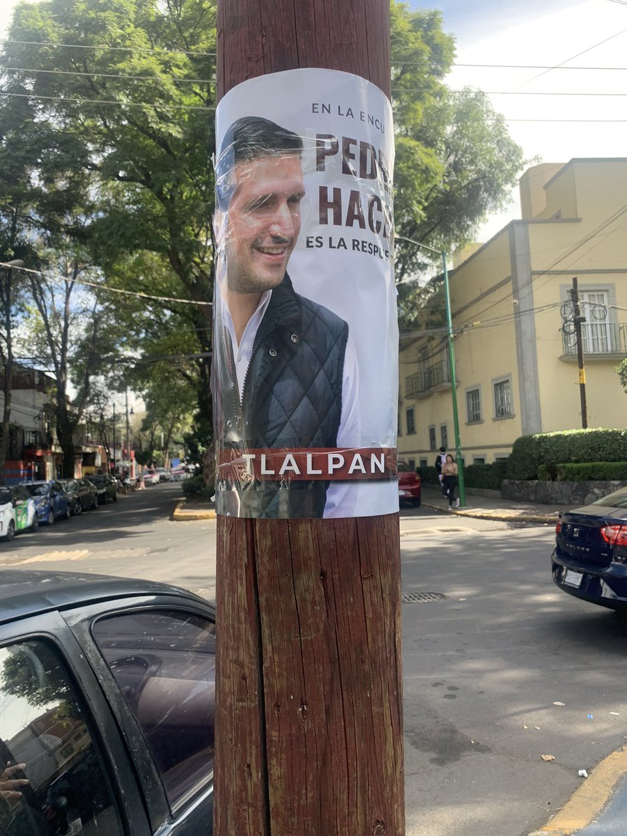 tostadabitch's tweet photo. ¿A dónde mando tu basura @PedroHacesL ? @TlalpanVecinos.
Ya los estamos quitando https://t.co/Mv85BnbA9R
