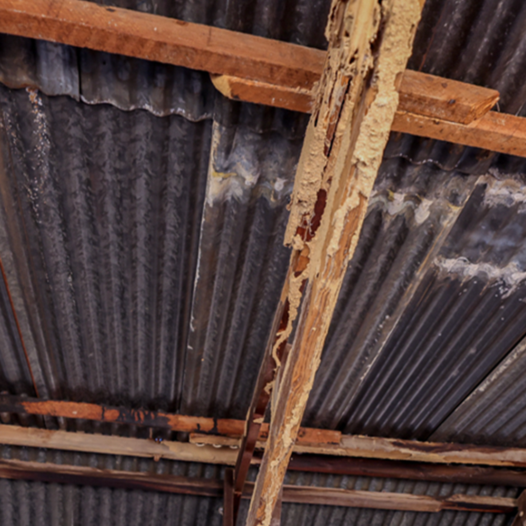 DOUBLE YOUR IMPACT! We have a donor who will match your donations if we raise $5000 in funds this week!
facebook.com/donate/1516754…