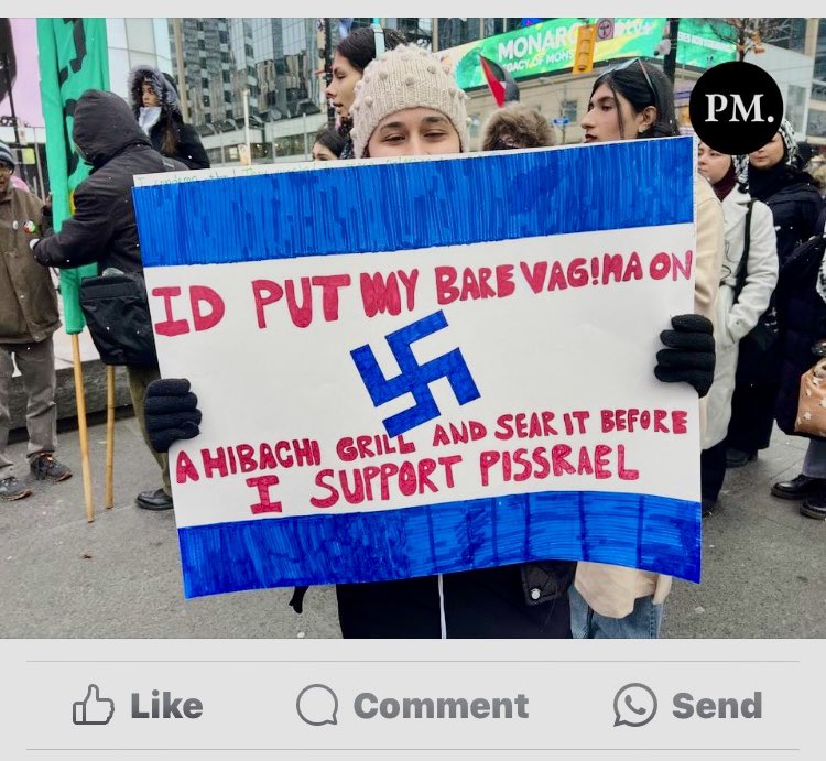 TMU Rally this week. This is the kind of vile messages Jewish TMU students have to put up with.  As a Jewish person in Canada, I expect my government to act. 
Everyone has the right to protest - this isn’t protesting, it’s inciting hatred and harm.