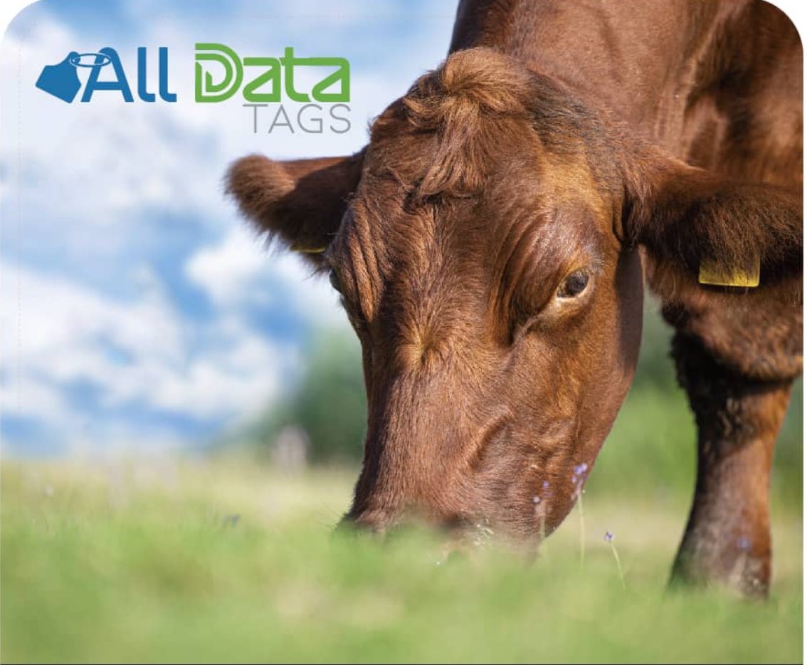 tags_data's tweet image. AllDataTags.com