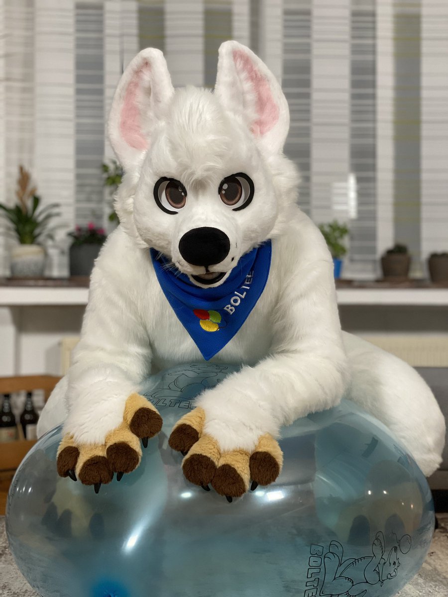 Boltee (@bolt_cadell) on Twitter photo This #FursuitFriday there is a new Boy in Town. And he came to be a good boy!
Fursuit Upgrade (finalized) by <a href="/SchneeCreations/">SchneepardiCreations</a> - thank you so much!
And pictures taken by my lovely <a href="/sargonphin/">Sargon Phin ๐ซ๐ท๐ฉ๐ช</a> โค๏ธ This #FursuitFriday there is a new Boy in Town. And he came to be a good boy!
Fursuit Upgrade (finalized) by <a href="/SchneeCreations/">SchneepardiCreations</a> - thank you so much!
And pictures taken by my lovely <a href="/sargonphin/">Sargon Phin ๐ซ๐ท๐ฉ๐ช</a> โค๏ธ