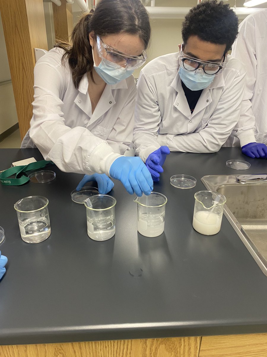 EmWilliams5's tweet photo. Labo excitant en bio 11! 🥽🥼Les élèves ont travaillé avec des plaques de Pétri pour la première fois afin d’explorer la décomposition de l’amidon par l’amylase. 🧫 Un labo pour en apprendre plus sur le système digestif! @acnotredame https://t.co/Ef1LJjxbld