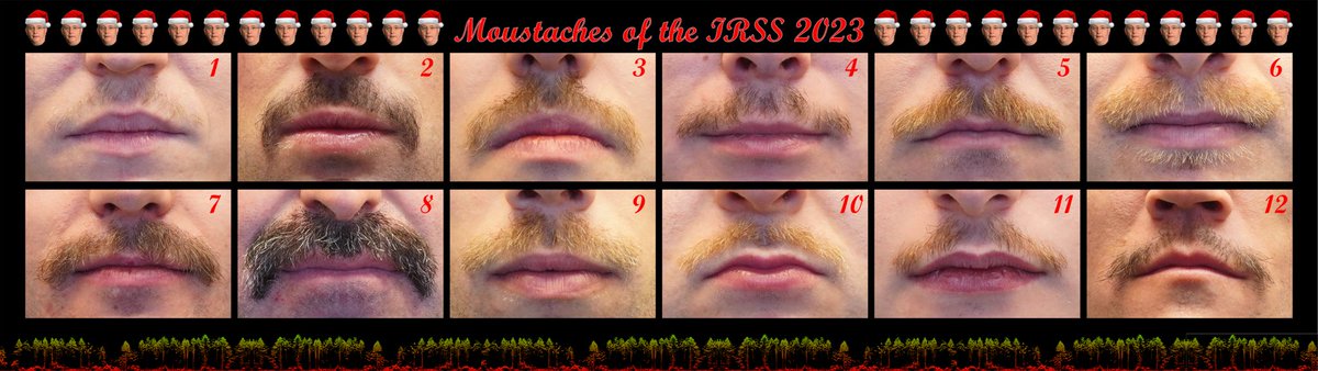 We are pleased to present the Moustaches of the IRSS for Movember 2023!! 🥸

As per annual tradition, we’ll be voting for our favourite ‘stache - but which one will be the Twitter favourite?! 

#Movember2023