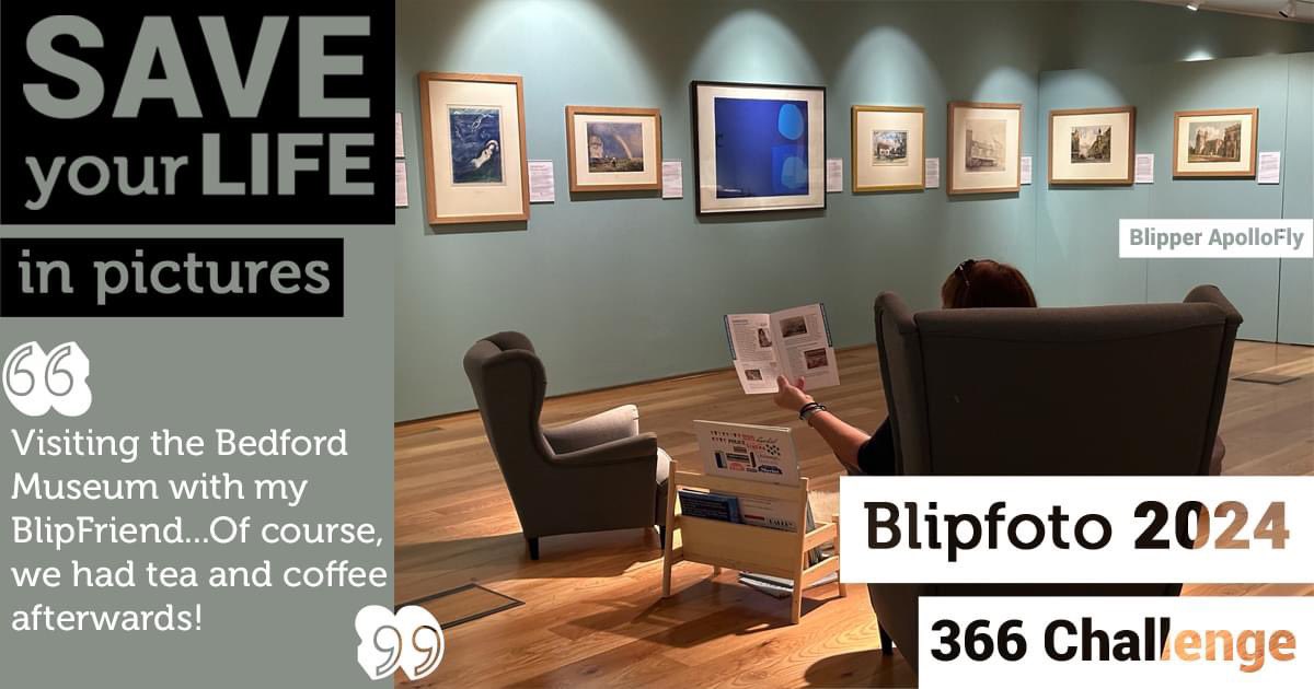 Blipfoto tweet media