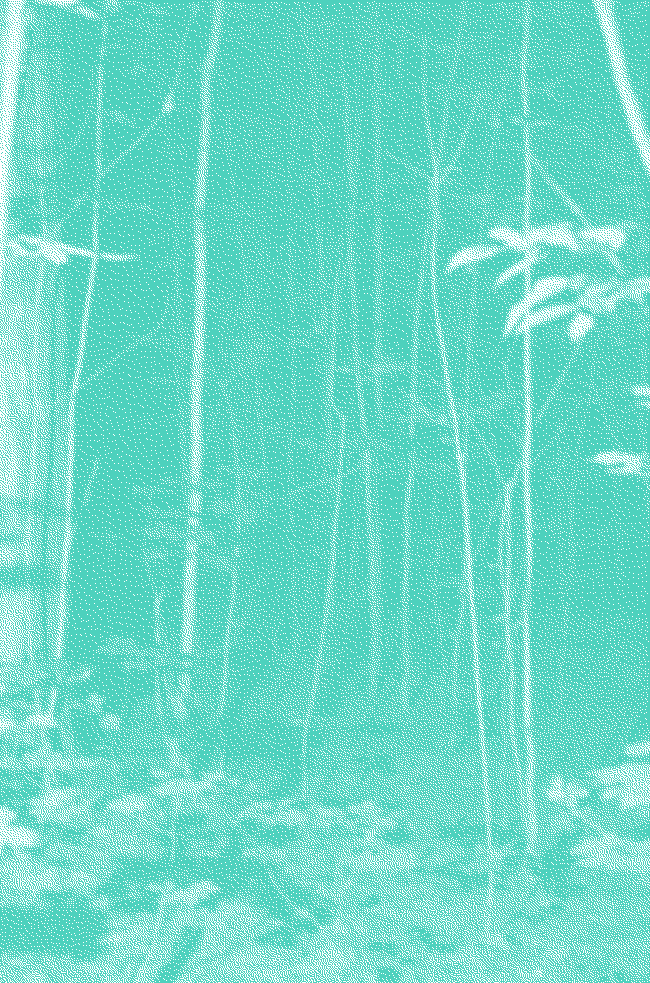 Figure31 tweet media