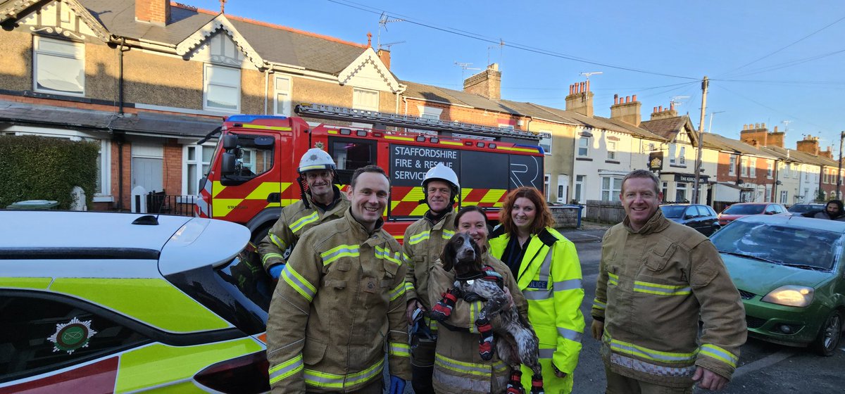 WMFSFireDog tweet picture