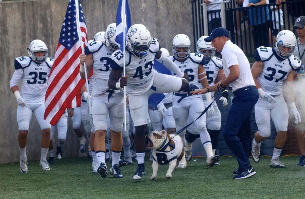 Nick Cairo tweet media