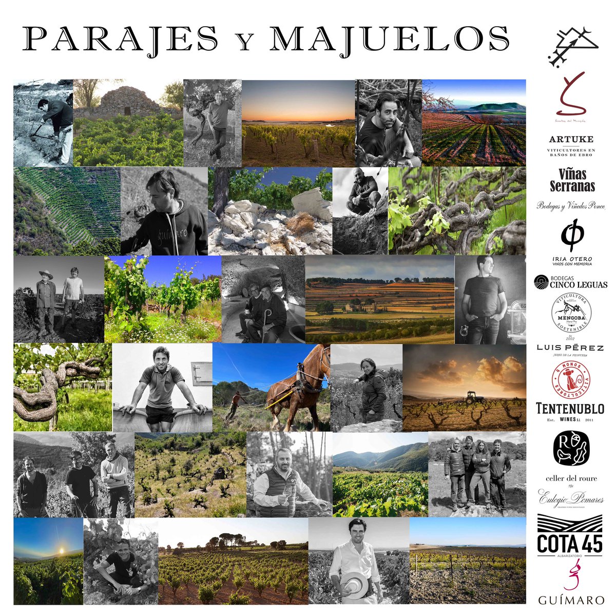 Our group will attend again #barcelonawineweek from 5th to 7th of February. Parajes y Majuelos, a group of 15 cellars from different Spanish regions with similar philosophy.