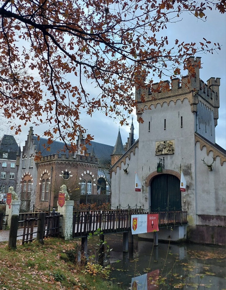 Mariëlle van Alphen tweet media