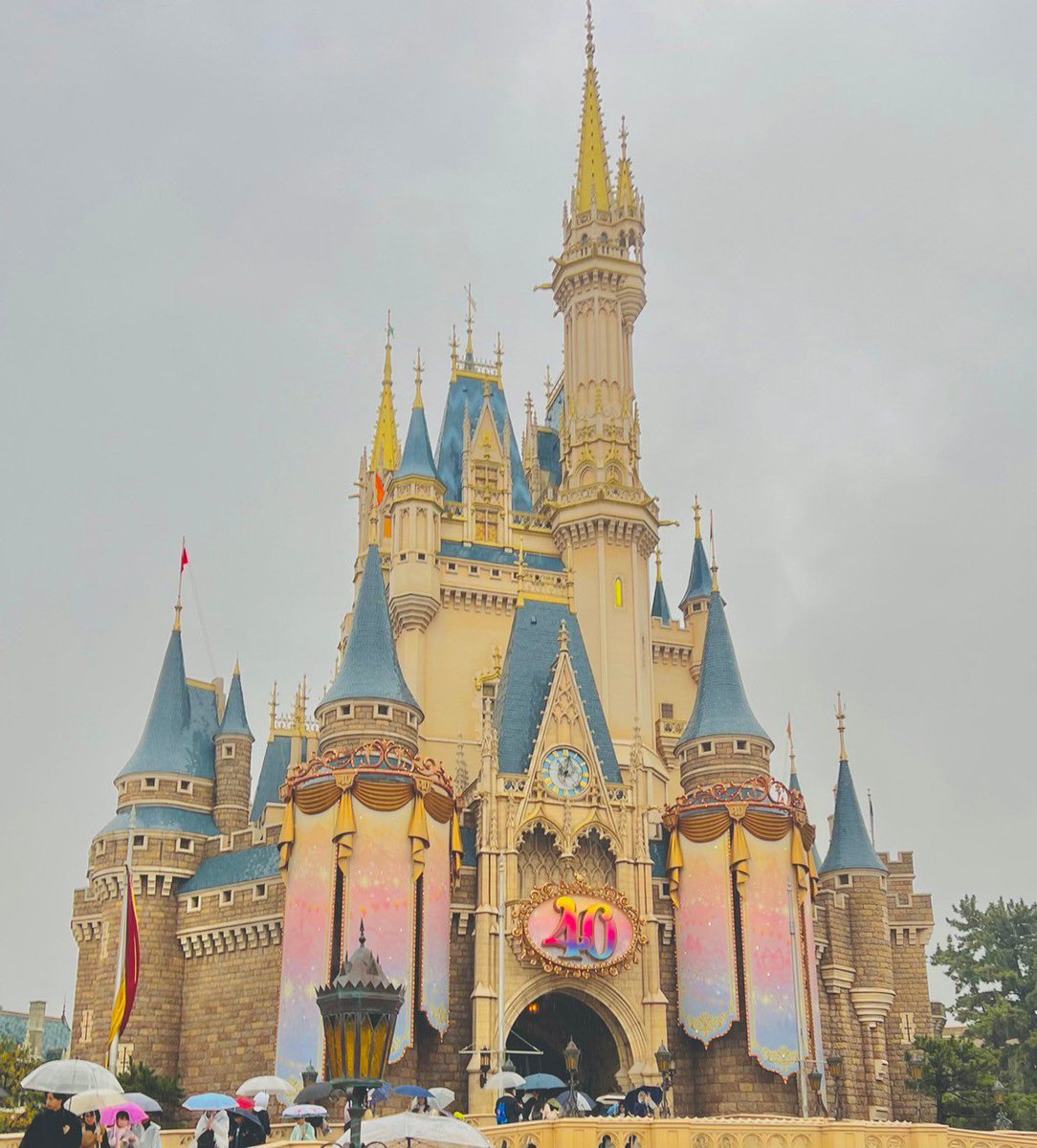 11月半ばにディズニーに行ってきた✨
クリスマスも始まって、やっぱり何回言ってもディズニーの世界観が大好きすぎる🥰
2日間行って、2日目は土砂降りだったのもいい思い出😚