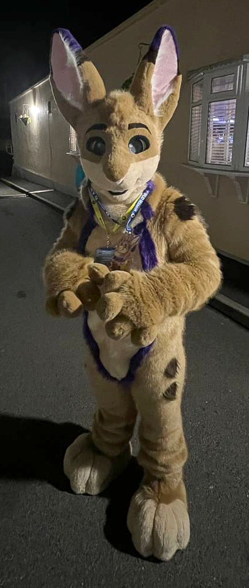Holiday snap of a bun on Furcation :D

#FursuitFriday
