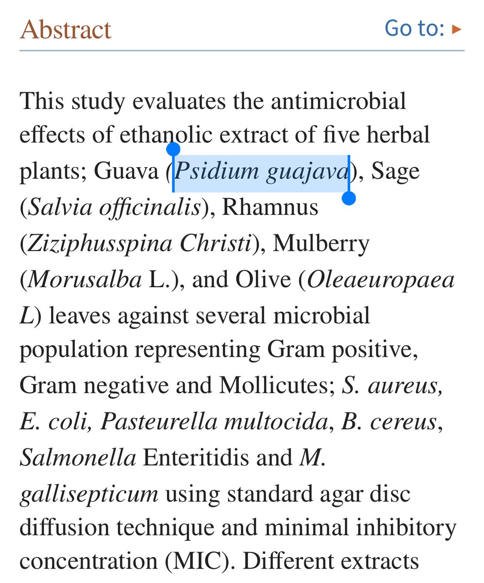 ClichyRose3's tweet photo. Psidium guajava (Guava) ethanol extract against Mycoplasma gallisepticum? #guavaExtract #therapeuticPlants #PsidiumGuajava #mycoplasma https://t.co/LtPmDwYMBV https://t.co/VtIcOzNORB
