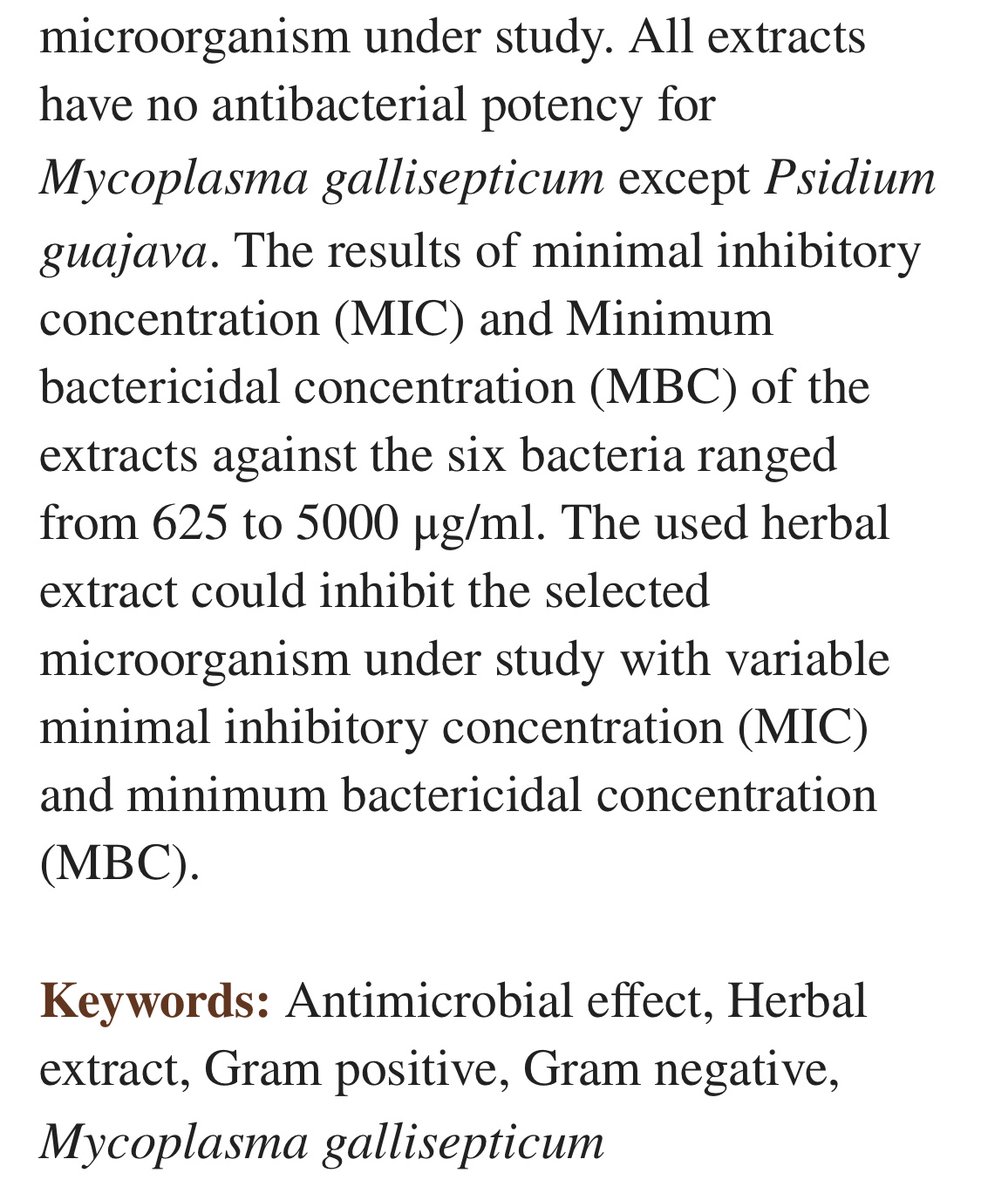 ClichyRose3's tweet photo. Psidium guajava (Guava) ethanol extract against Mycoplasma gallisepticum? #guavaExtract #therapeuticPlants #PsidiumGuajava #mycoplasma https://t.co/LtPmDwYMBV https://t.co/VtIcOzNORB