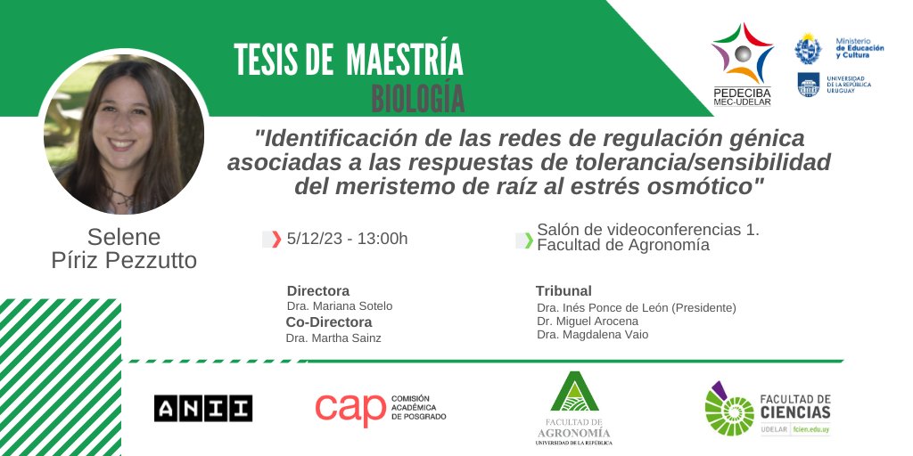 "Identificación de las redes de regulación génica asociadas a las respuestas de tolerancia/sensibilidad del meristemo de raíz al estrés osmótico"

Defensa de #Maestría de la #EstudiantePEDECIBA Selene Piriz

5/12 - 13h

#SomosPEDECIBA

+info
pedeciba.edu.uy/es/defensa/ide…