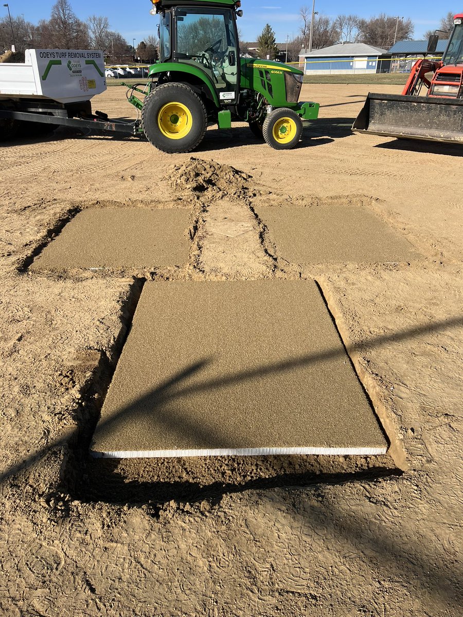 Odeys Field Experts tweet media