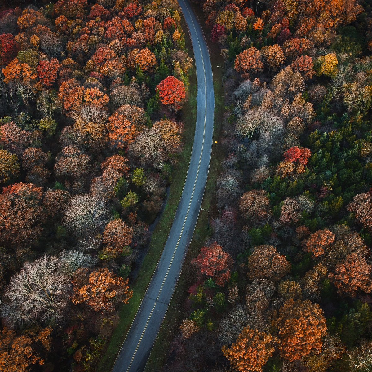ericamango_'s tweet photo. @Lightroom I’m Erica from Long Island, NY and these are my photos https://t.co/xTKhWbTEyc