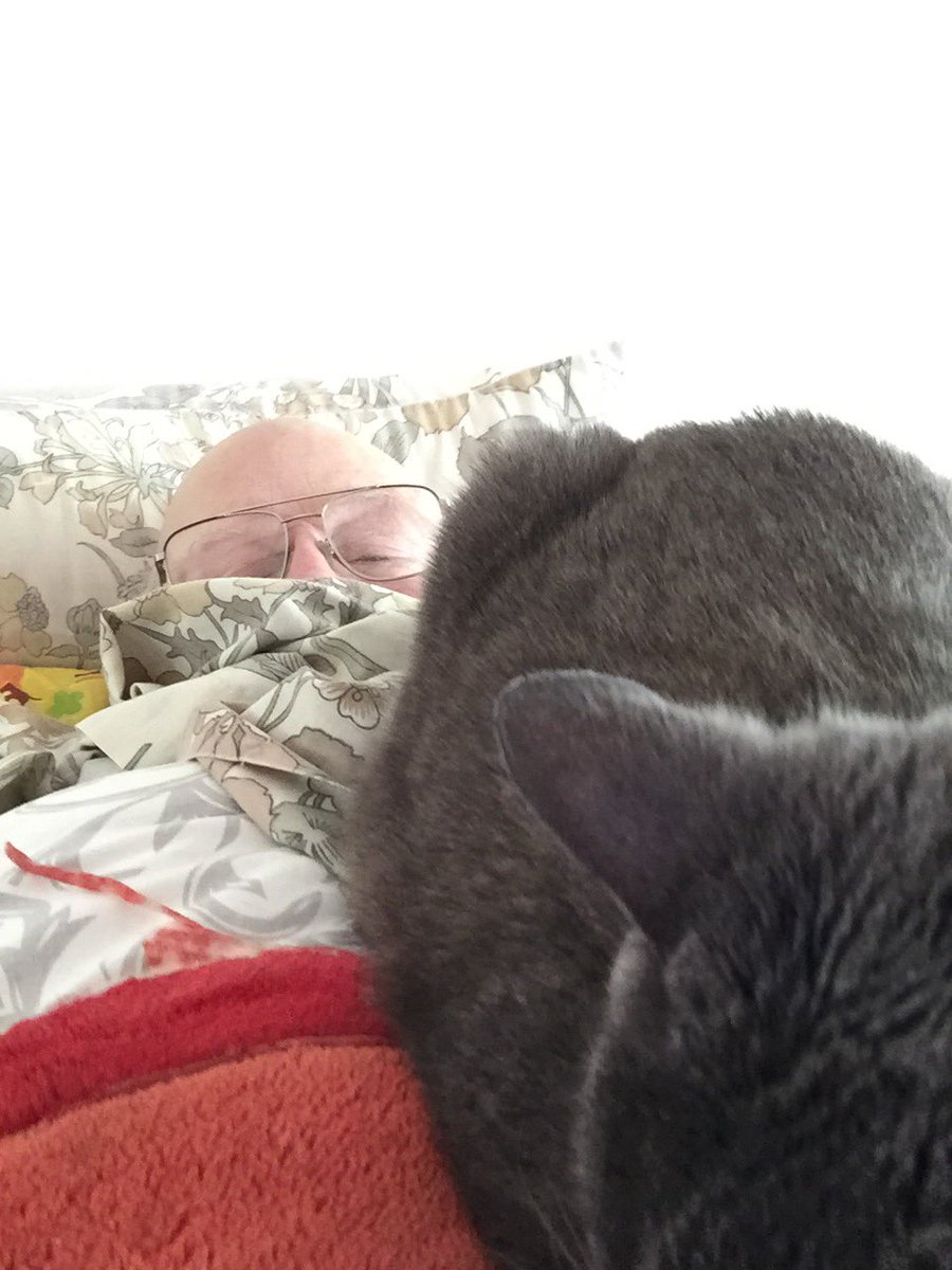 This arrangement is not conducive to getting up, but the effort must be made...