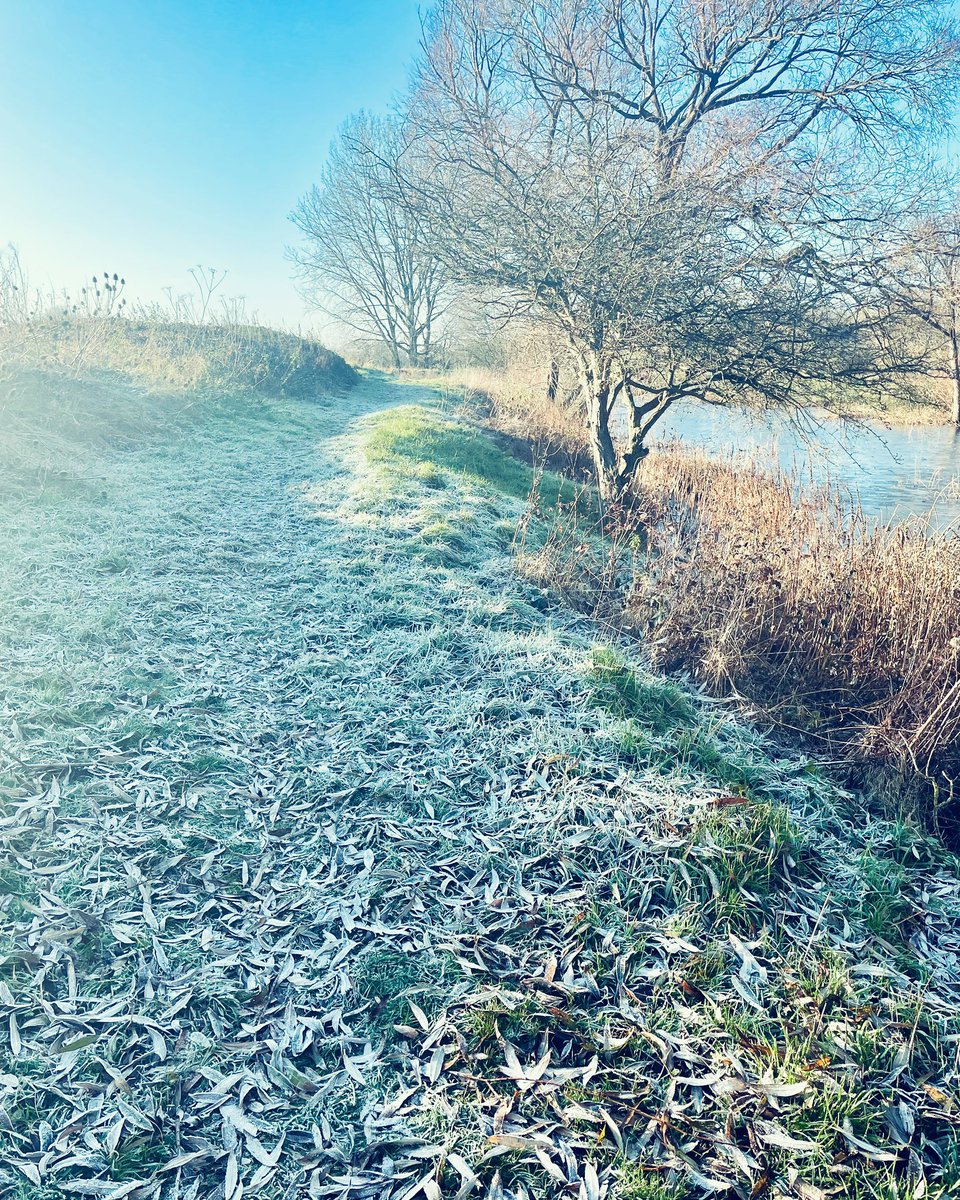 #winter #frost #winterwild #frostymorning #morning #morningwalk