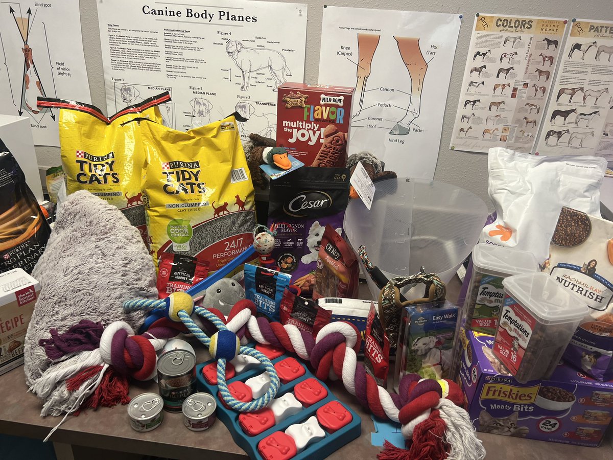 Ms_NewmanRHS's tweet photo. Proud of the Animal Science students that collected 370 items for the SPCA of Texas! 

Students learned how to write donation letters to their teachers, highlighting the needs of the SPCA. 

#spca #CommunityImpact #philanthropy #RISDWeAreOne #CTE @RISD_CTE https://t.co/PNX7QG0uWL