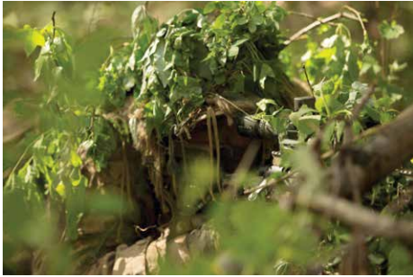 Monstrata tweet media