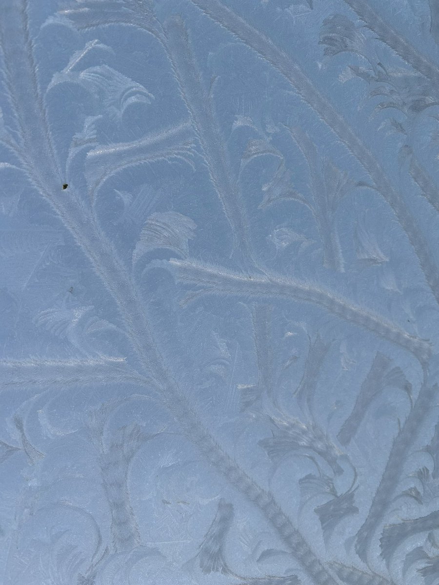 weezejackson's tweet image. Ice patterns on car roof earlier this week so pretty &amp;amp; nothing I’ve ever seen before.  Would love to know why they formed this way  #icepatterns
