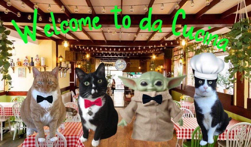 jerry_tuxedo's tweet photo. Folks, welcome 🙏 to Pizza 🍕 Night at #JerrysCucina 
Take a seat 💺 and Pumpkin @cathiebun will take your order 
Chef 👨‍🍳 Amaroo made a delicious 🤤 selection of pizzas 🍕 
Meowtender TJ @TJS12145 will provide da drinks 🥤 🍸 🍷 
#CatsOfTwitter #DogsofTwitter #Anipals #Stuffies https://t.co/qvF1Jzktkv