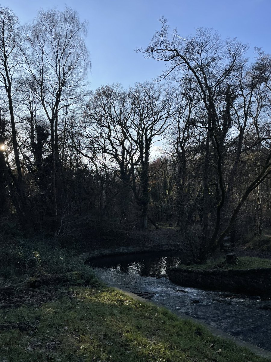 Chris Dawson-Morris tweet media