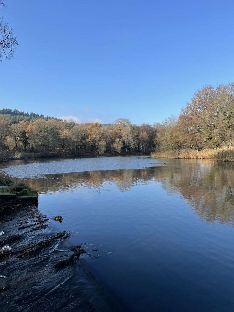 Chris Dawson-Morris tweet media