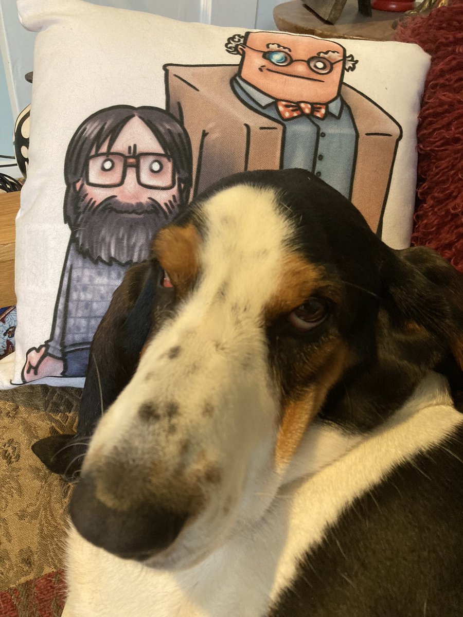 Ali Rose Rees tweet media