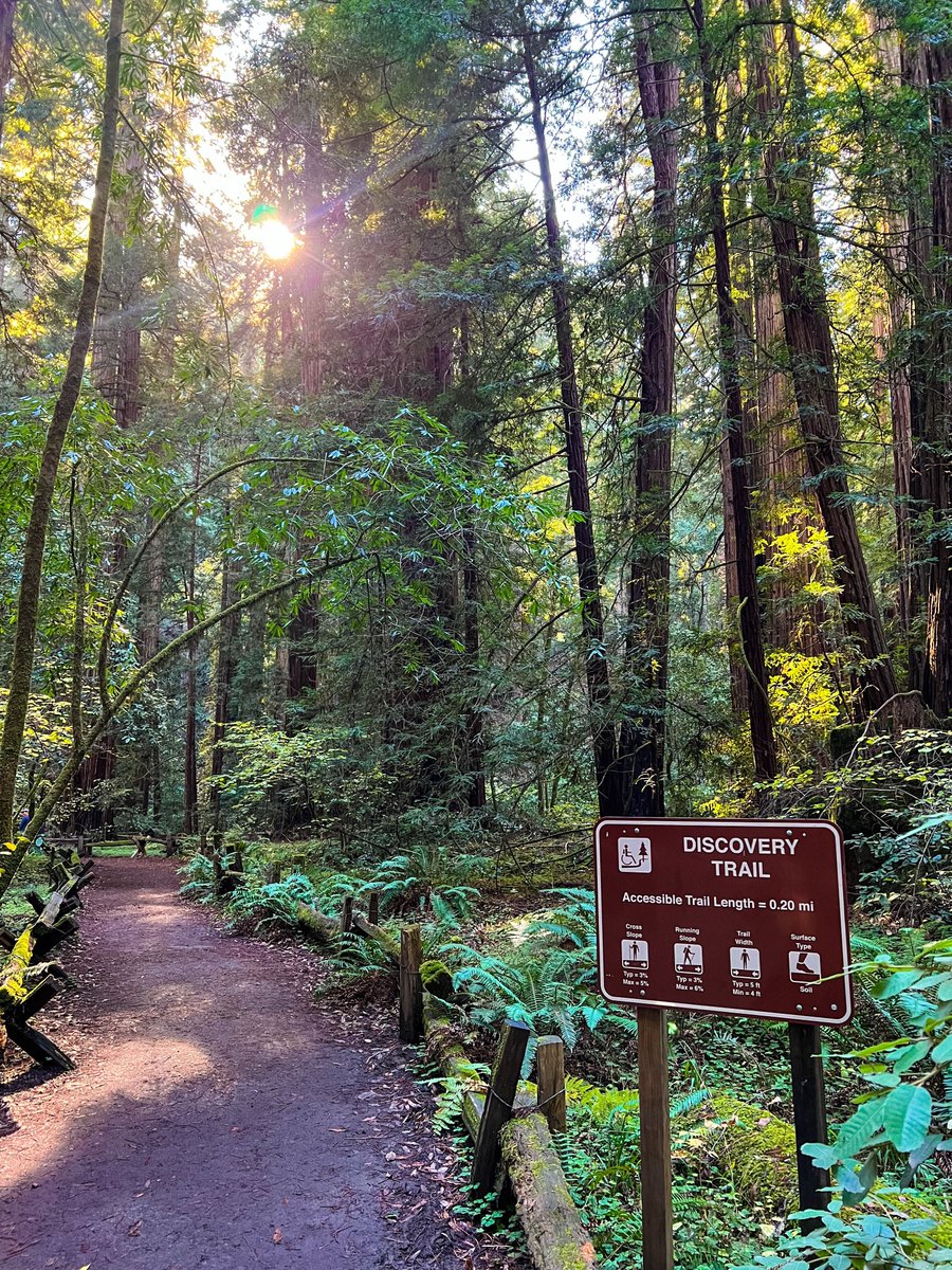 calparks's tweet photo. Stroll into serenity at Armstrong Redwoods State Recreation Area. 🌲✨ #ExploreCA #CAStateParks #ArmstrongRedwoods https://t.co/dqoBaGWNJK