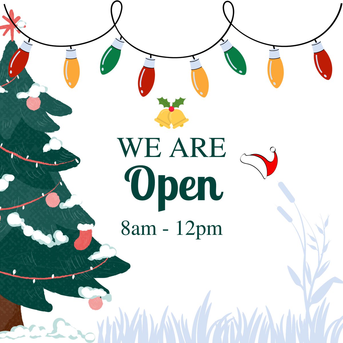 WPP will be open THIS SATURDAY, Saturday the 9th and Saturday the 16th of December from 8am until 12pm.

We won’t be taking orders and hold bay collection won’t be available on these Saturdays leading up to Christmas
😊

#wholesaleplantsandproducts #outdoorplants...