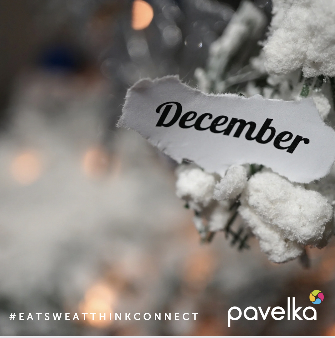 PavelkaWellness's tweet photo. Embracing December with a heart full of gratitude and a commitment to wellbeing. Here's to a month of self-care, joy, and positive vibes. 💫 #DecemberWellness #Gratitude https://t.co/lEwaxSbCzx