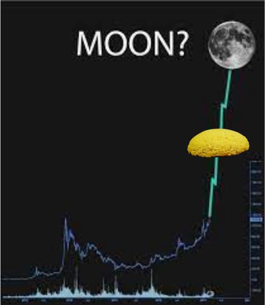 $MMLG is live! 🌽🚀🍀
From <a href="/MamaligaCoin/">Mamaliga</a>

Fill your bags from OneDex:
swap.onedex.app/swap?firstToke…

Because we are a REAL MEME coin, all the LP tokens are burned
explorer.multiversx.com/transactions/a…

<a href="/PulsarTransfer/">PulsarTransfer</a> send 80000 HYPE for 50 retweets